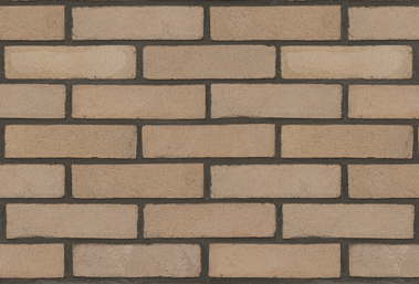 تکسچر آجر نسوز نما رستیک AR301